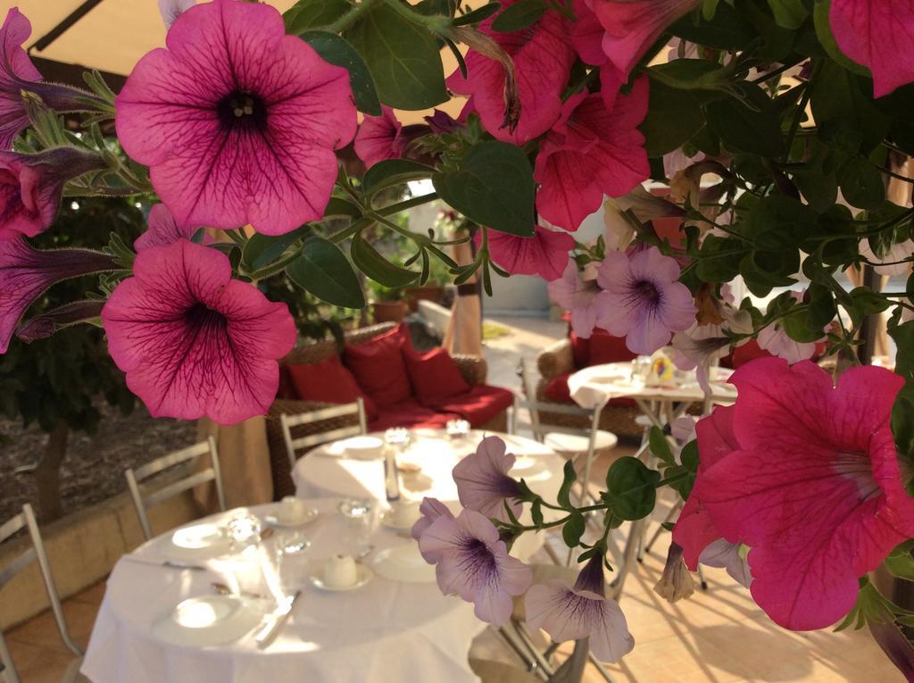 Siciliantica Bed & Breakfast Rilievo ภายนอก รูปภาพ