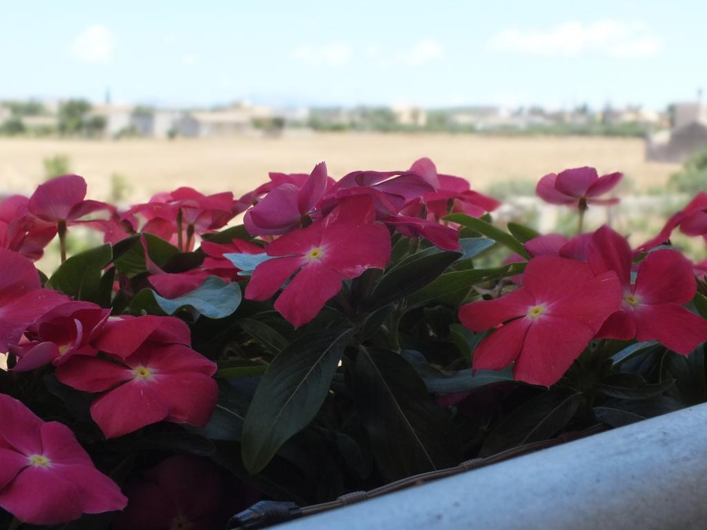 Siciliantica Bed & Breakfast Rilievo ภายนอก รูปภาพ